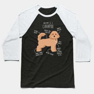 Cavapoo Dog Anatomy Baseball T-Shirt